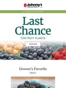 Orders Closing: Last Call for Fruit Plants