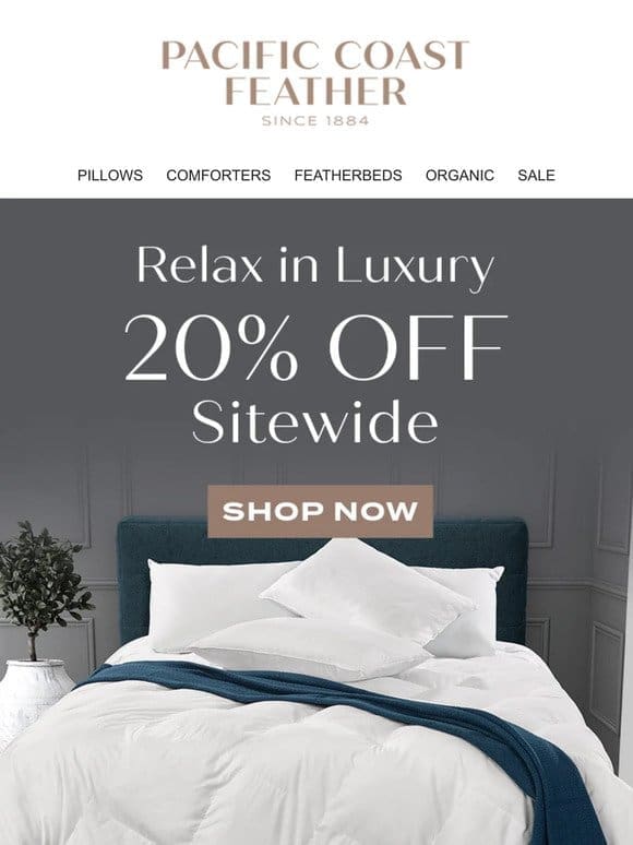 Pillows， Featherbeds & Comforters Are 20% OFF!