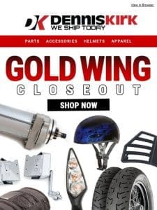 Shop Goldwing Closeouts for Huge Savings at Dennis Kirk!