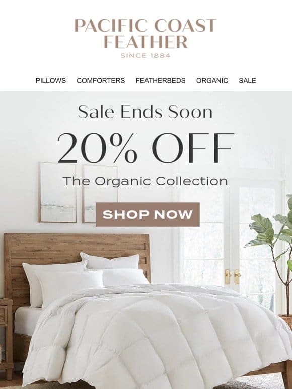 Soft， Clean & Organic Cotton Covered Bedding is Waiting