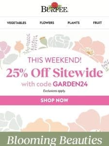 Staff favorites + last day for sitewide savings