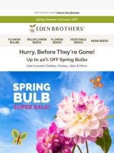 Still Going!   Up to 40% OFF Spring Bulbs