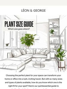 The Quintessential Plant Size Guide