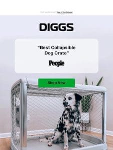 The viral dog crate everyone’s obsessed with