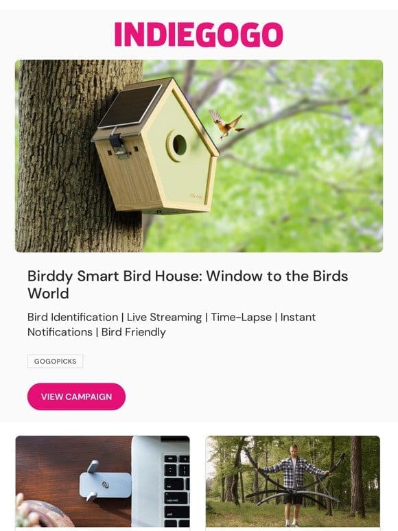 This smart bird house is your window to their world.