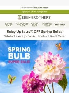 Up to 40% OFF 240 Bulbs!