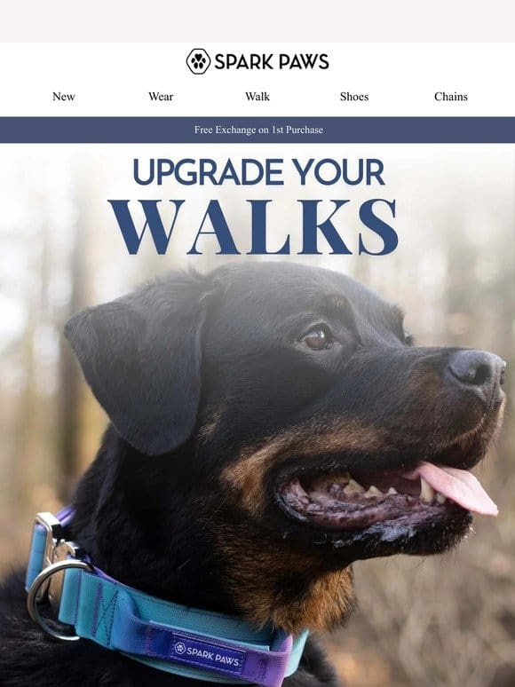 Upgrade Your Walks With These