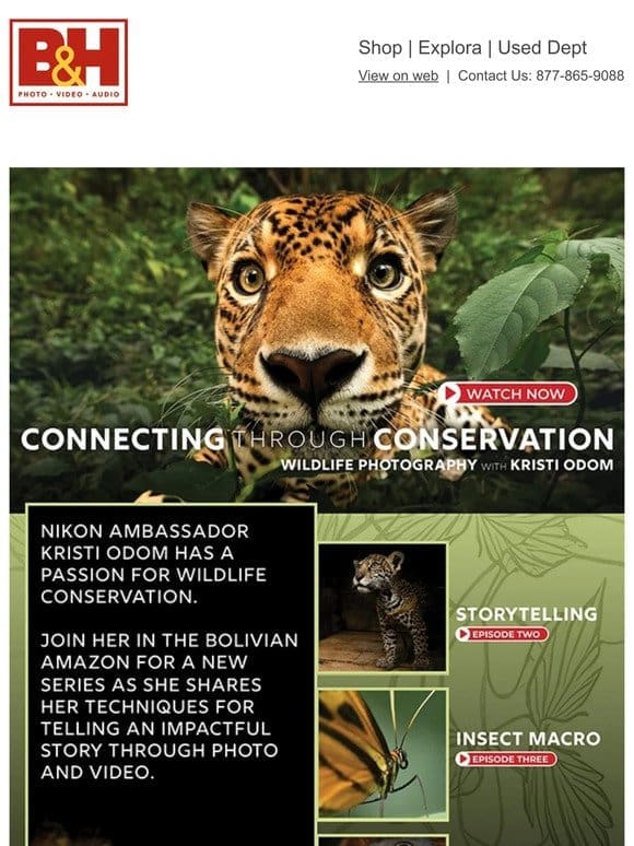 Wildlife Photography with Kristi Odom + Savings on Nikon Cameras & Lenses!