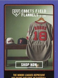 ✨ Just Dropped: Vintage MiLB Collection