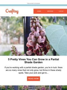 5 Pretty Vines You Can Grow in a Partial Shade Garden