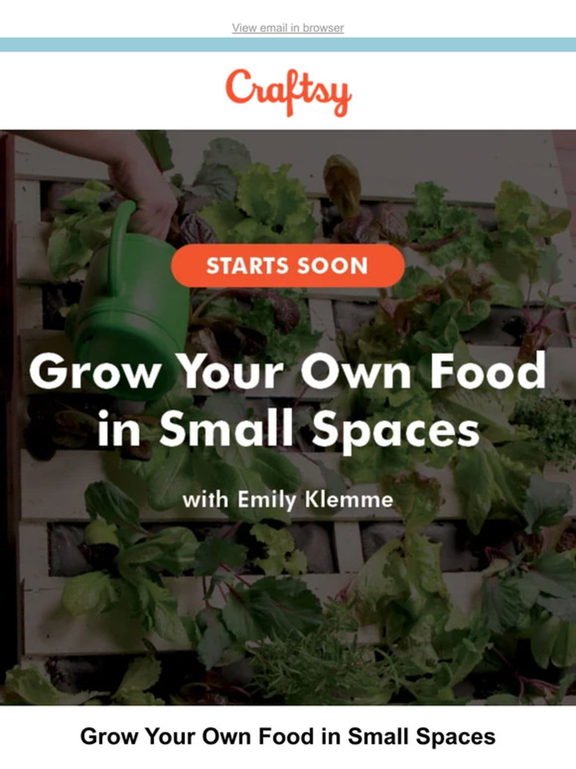 Going LIVE: Grow Your Own Food in Small Spaces