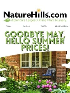 Goodbye May， Hello Summer Prices!