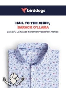New Presidential Polo Just Hit The Site