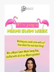 ‍♀️GIVEAWAY   Miami or Bust